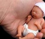 试管婴儿降调过程中遇到卵泡发育不均匀，应该选择哪种方案来优化治疗效果？