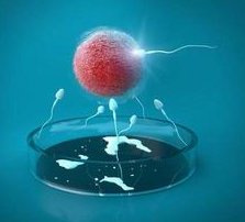 试管采卵费用一般要多少钱？采卵后内膜会变薄吗？