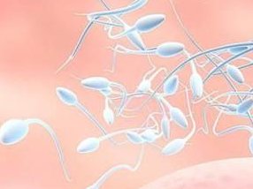 福州哪几家机构有卵子存储医院？2026试管助孕流程步骤划分